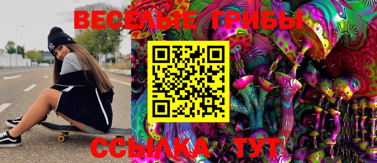 Галлюциногенные грибы Magic Shrooms  Галлюциногенные грибы Psilocybe  Вход с VPN  Майкоп 