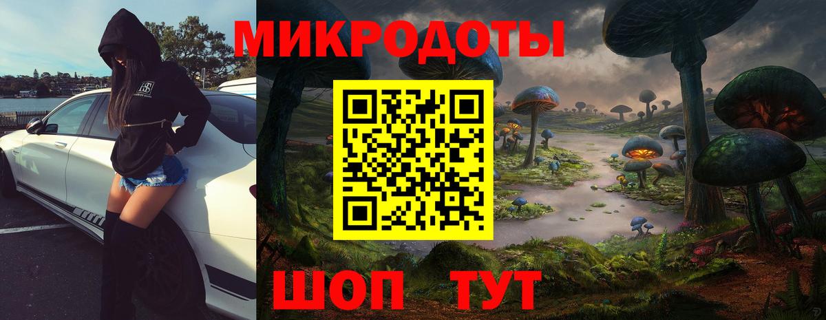 Галлюциногенные грибы Cubensis Майкоп